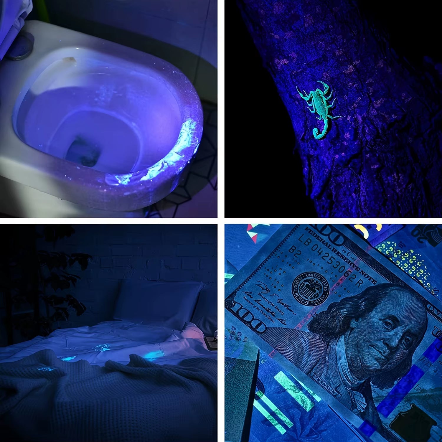 Mini 3W 365Nm UV Flashlight Charging Ultraviolet Blacklight Torch Manicures Catdog Urine Tinea Money Ore Scorpion Detection Lamp